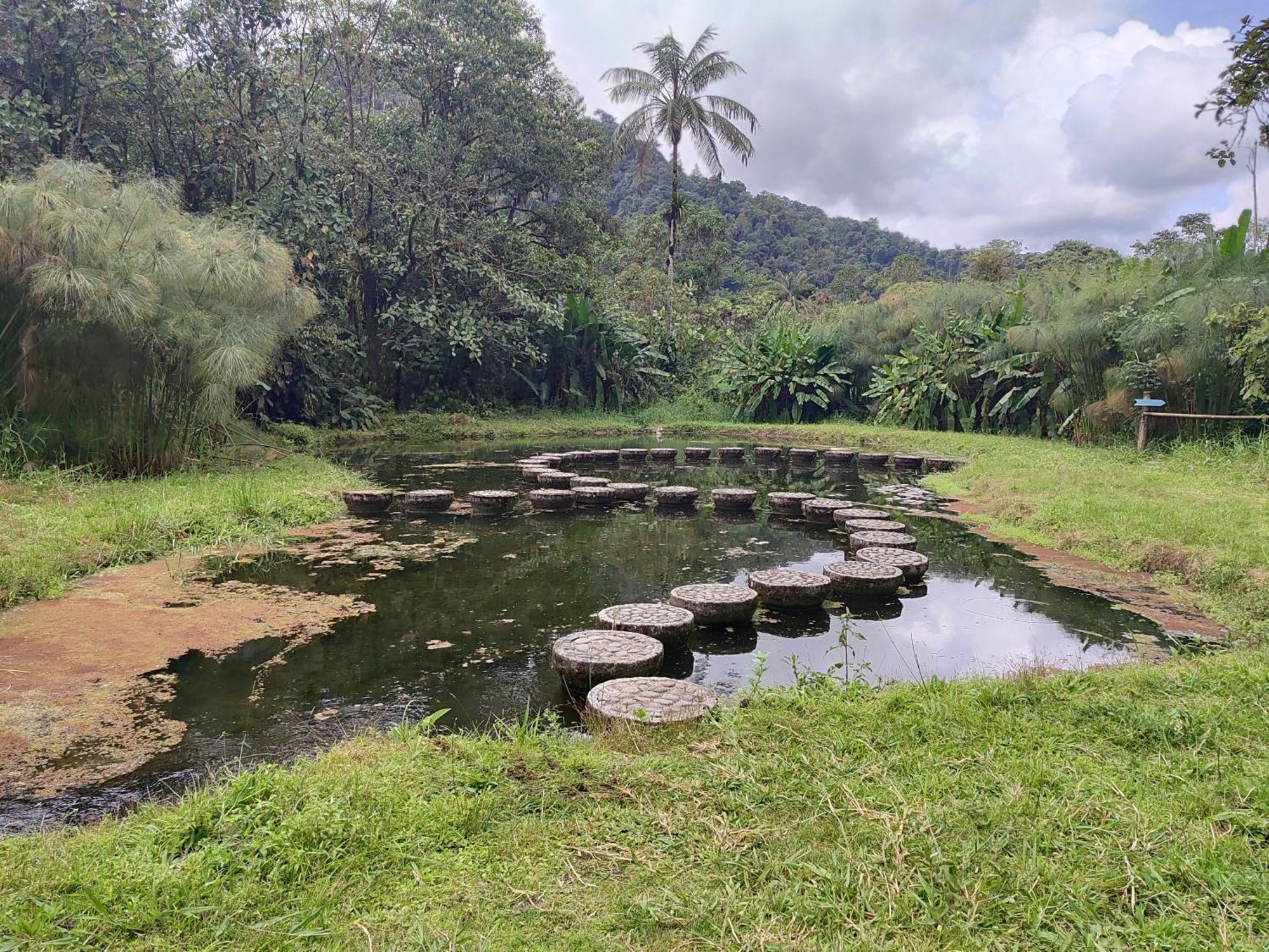 Mindo Garden Lodge And Wildlife Reserve Exterior photo