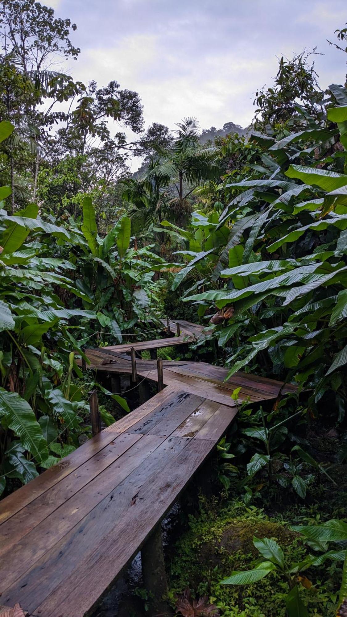 Mindo Garden Lodge And Wildlife Reserve Exterior photo