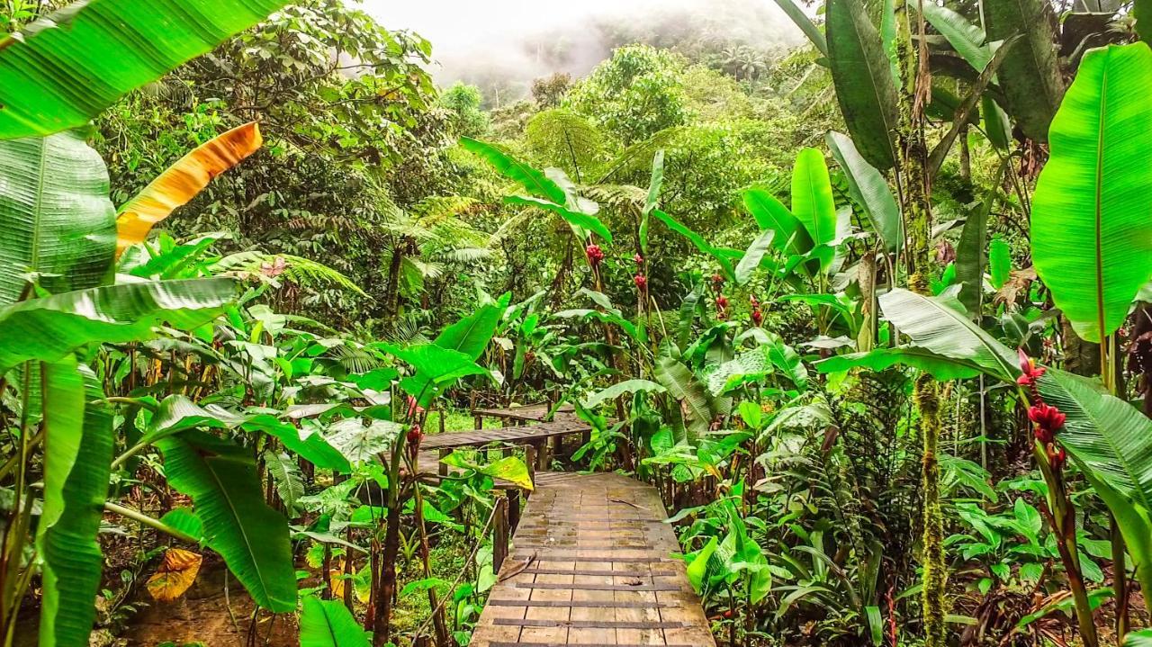 Mindo Garden Lodge And Wildlife Reserve Exterior photo